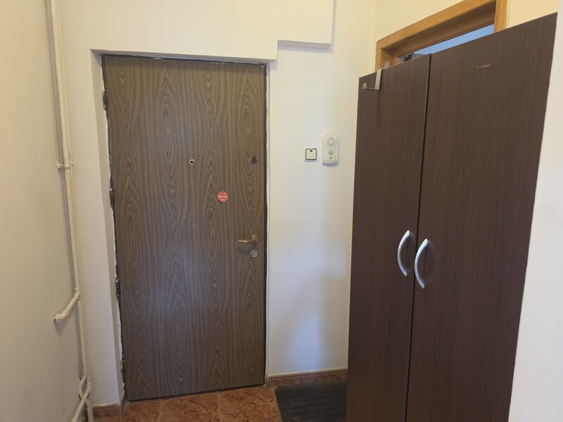Tineretului